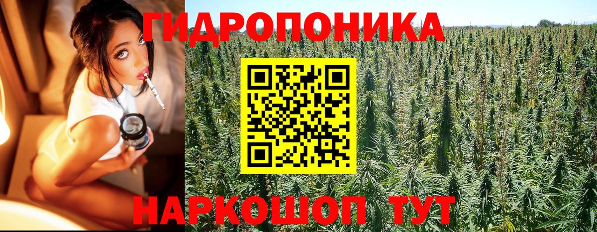 Бошки Шишки Ganja  Вход с VPN  Химки  Каннабис семена  Бошки Шишки SATIVA & INDICA  Канабис OG Kush 